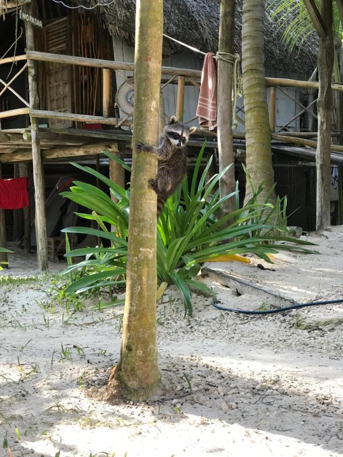 Chavez Eco Beach Camping And Cabanas Tulum Ngoại thất bức ảnh