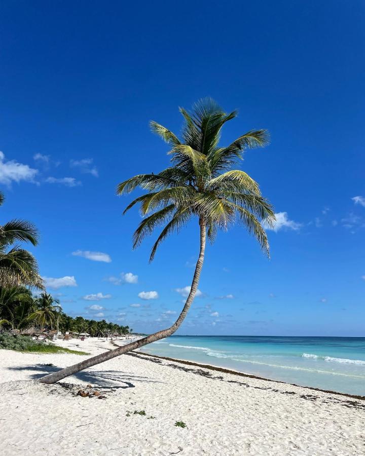 Chavez Eco Beach Camping And Cabanas Tulum Ngoại thất bức ảnh